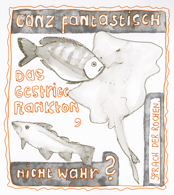 rochen2_web