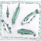 fische_web