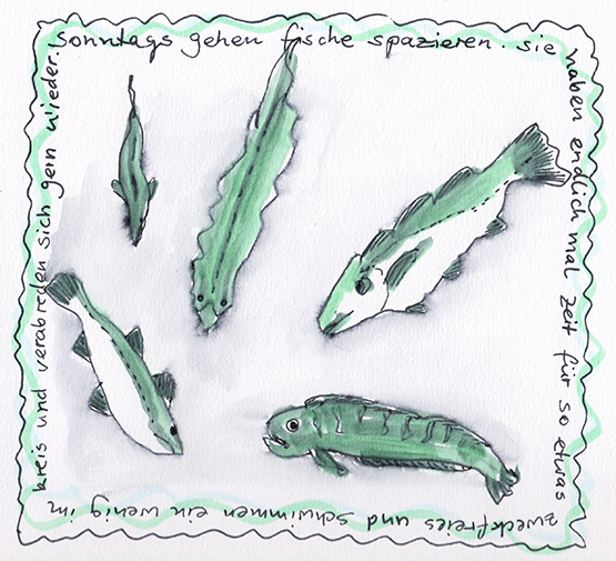 fische_web
