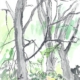 im_Steinzeitpark_Albersdorf