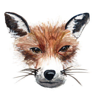 fuchs_web