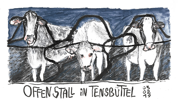 offenstall_web