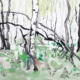 Ostroher_Moor