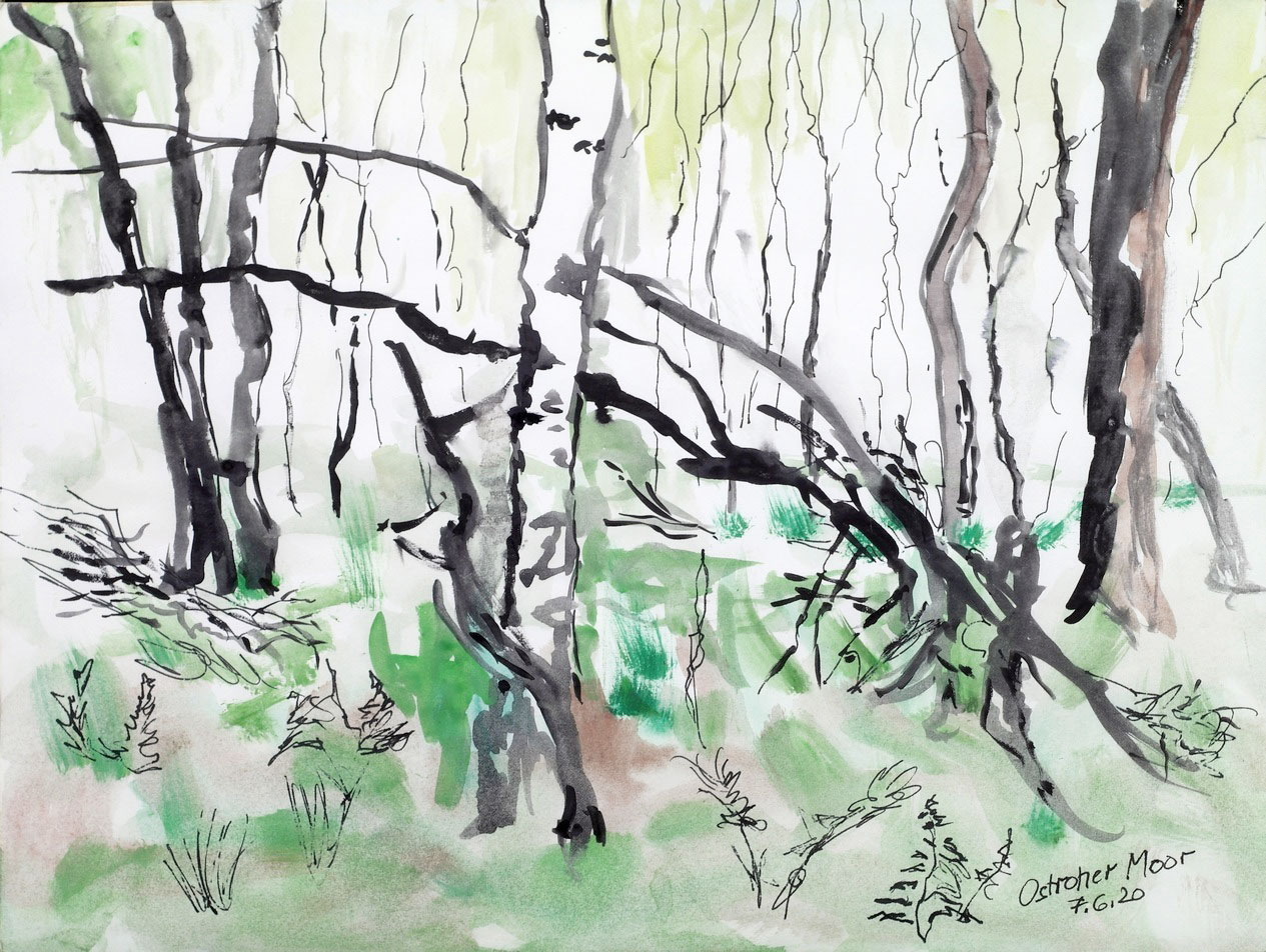 Ostroher_Moor