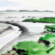 eider_josi