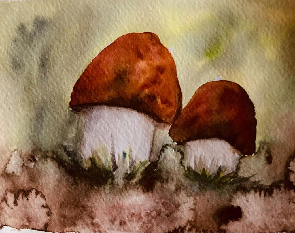 anke