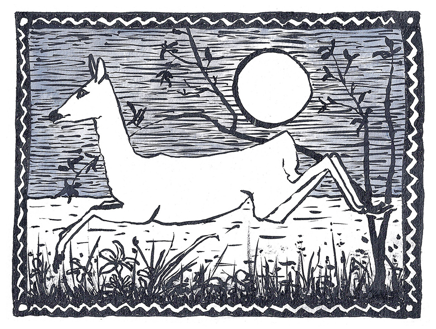 deer