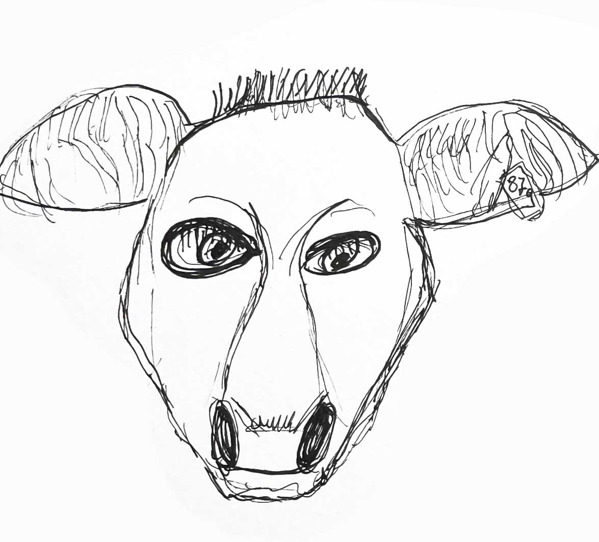 sylvia-kalb