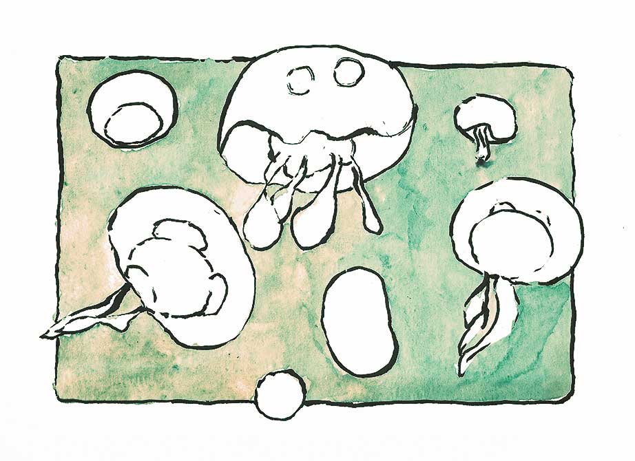 jelly