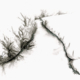 mareike_web