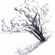 baum