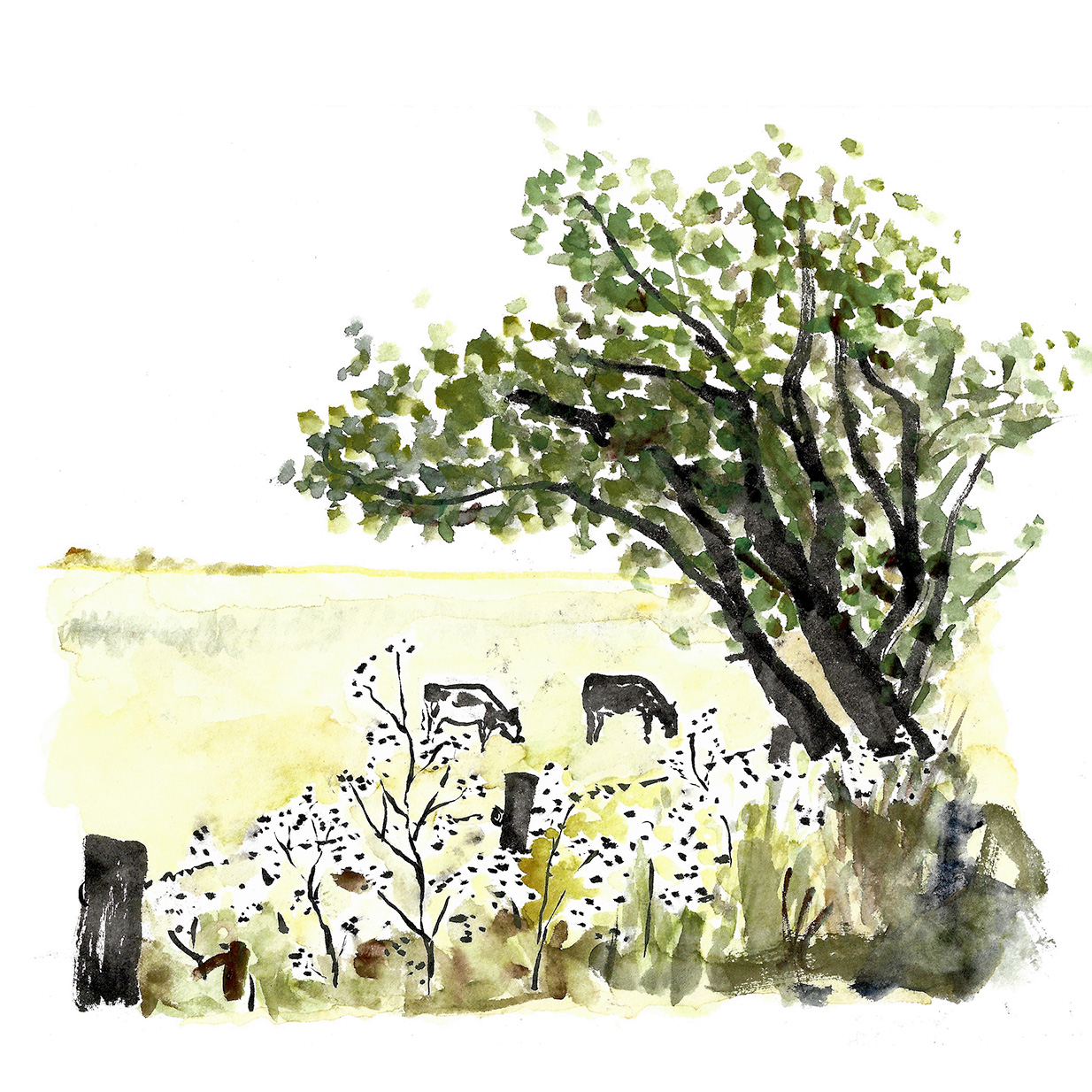 sommerkoog