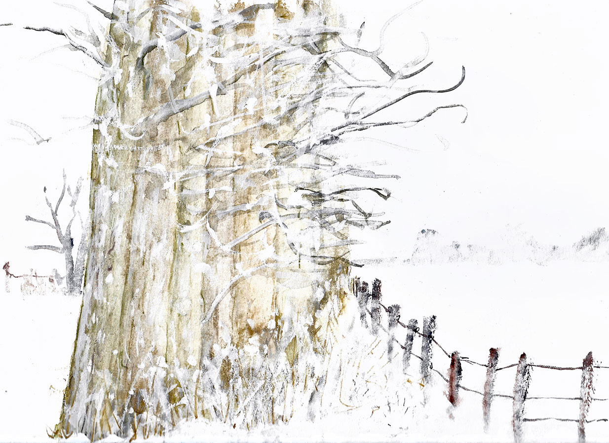 winterlandschaft