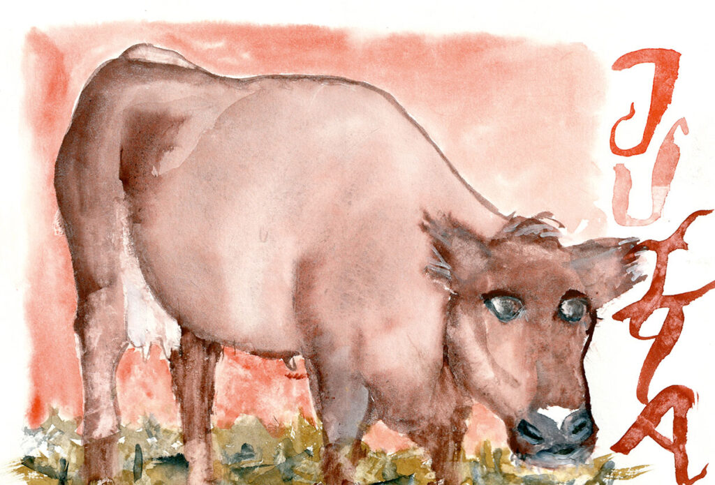 jutta-web
