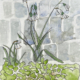 mareikes-blumen