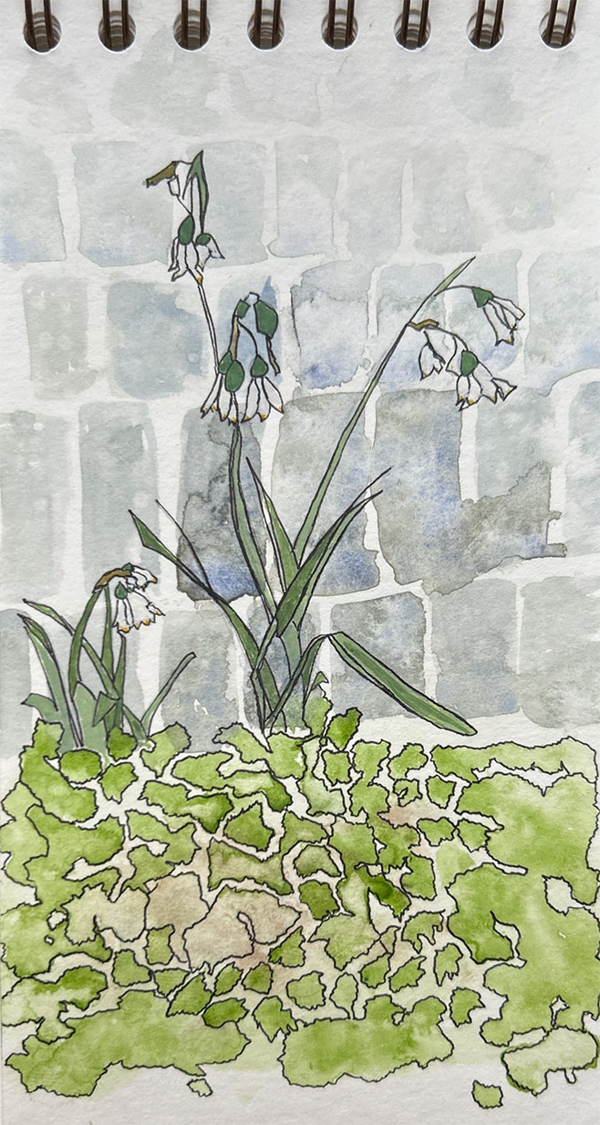 mareikes-blumen