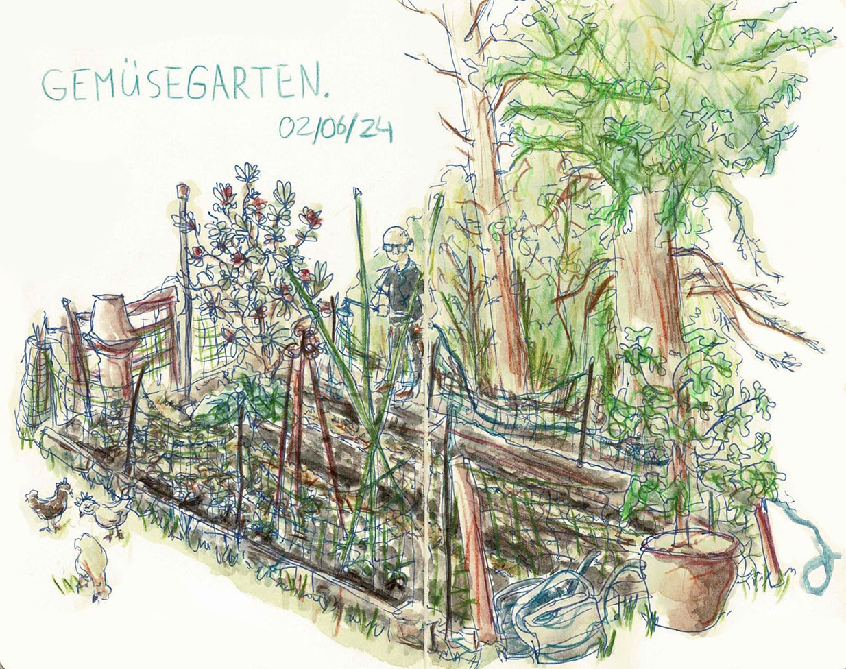gemuesegarten
