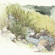 muehlenbach