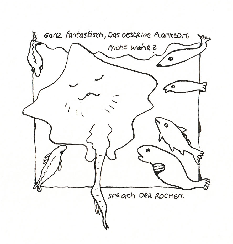 rochen3